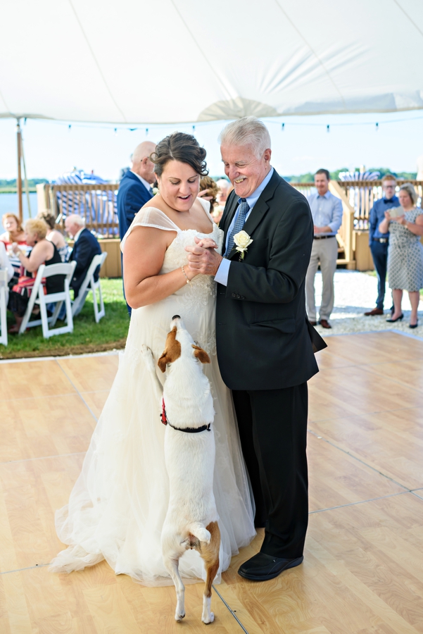 A dog jumping on the bride during the father daughter dance.